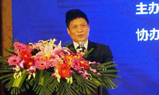 球王会体育官方网站海洋信息发展有限公司董事长杨冰之在“数据基因与大数据产业发展战略研讨会”上发表演讲