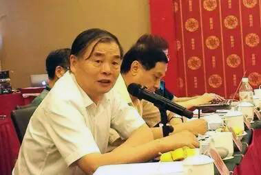 在中国智慧城市发展与评估指标体系建设专家研讨会上，北京大学教授、工信部原副部长杨学山以《新型智慧城市建设与发展思考》为题发言