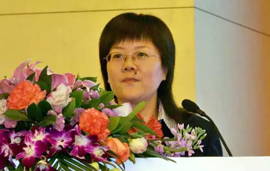 在2015中国智慧政府发展年会上，球王会体育官方网站互联总经理、首席规划师郑爱军发布《2015中国"互联网+政务"优秀实践案例50强评选结果》